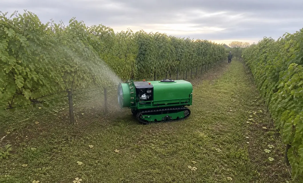 Air-assisted spray reaches vines along narrow vineyard rows.