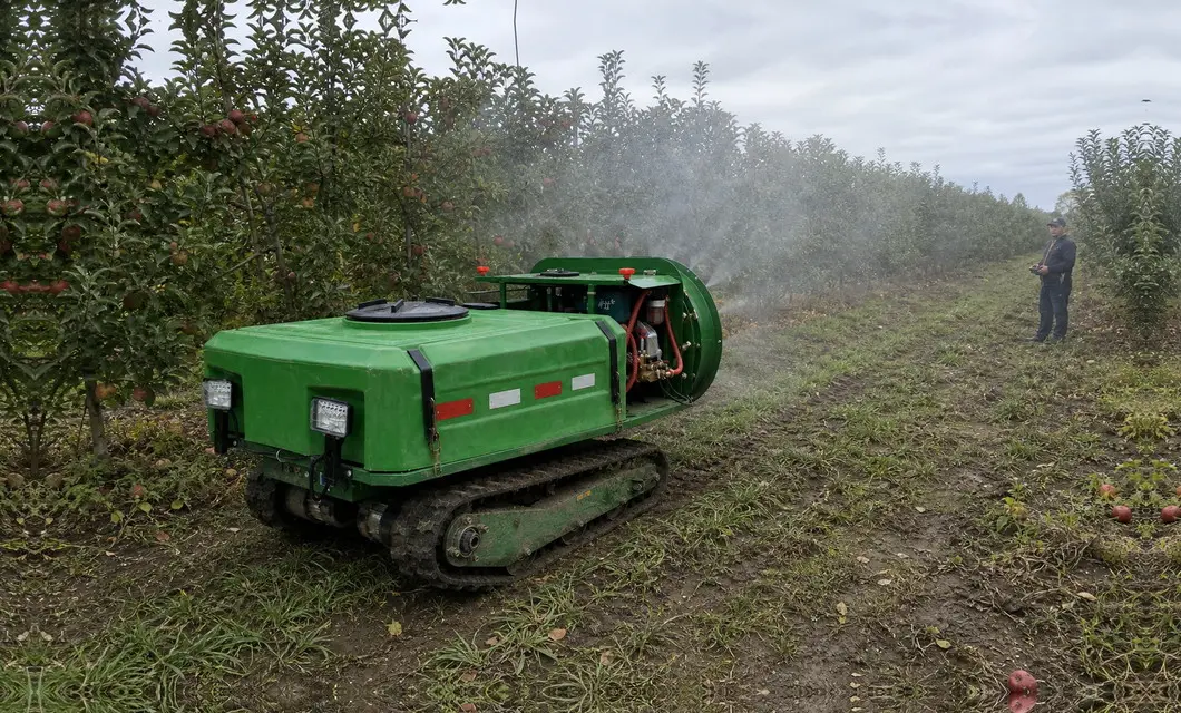 Wind-assisted mist covers apple trees along orchard rows.