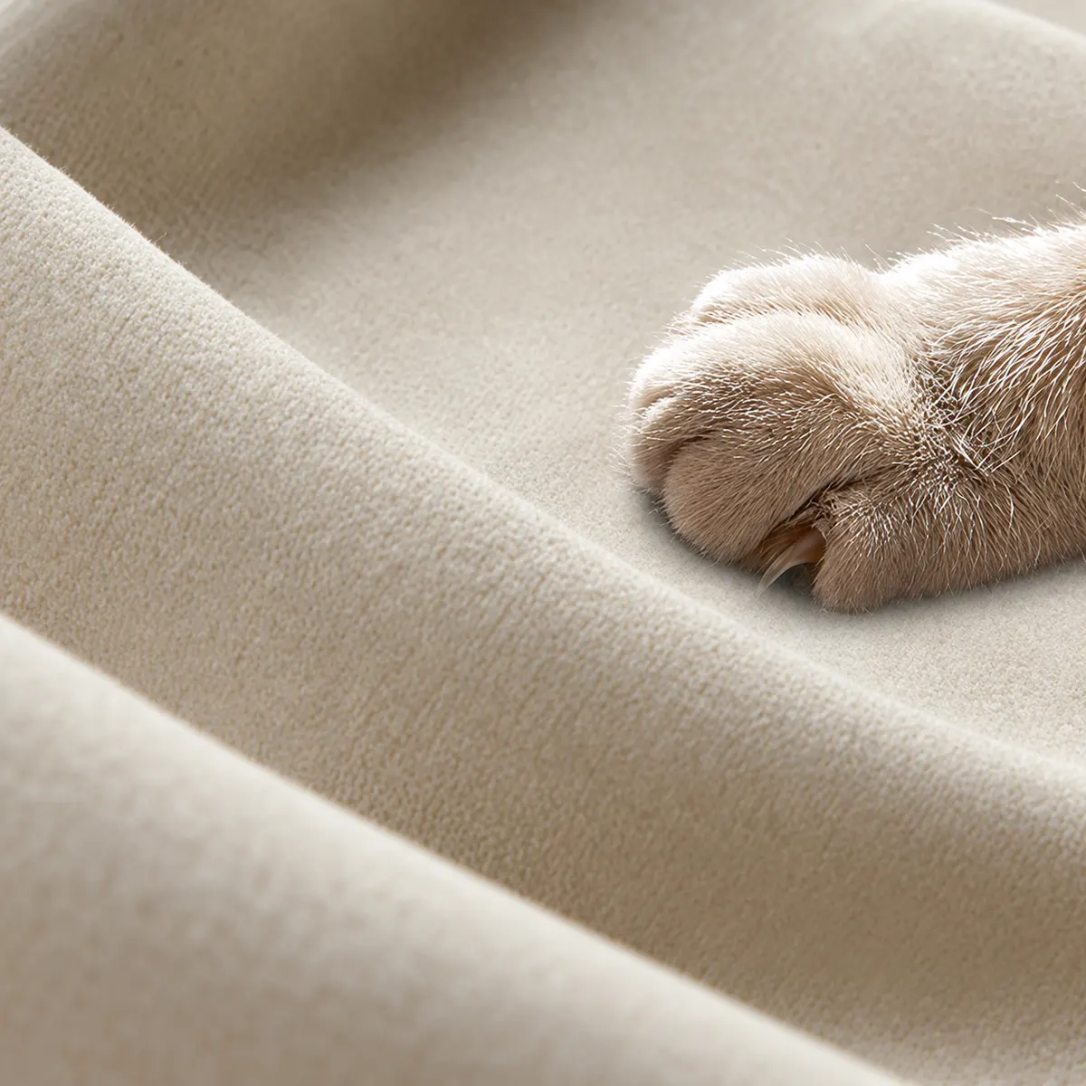 Fabric