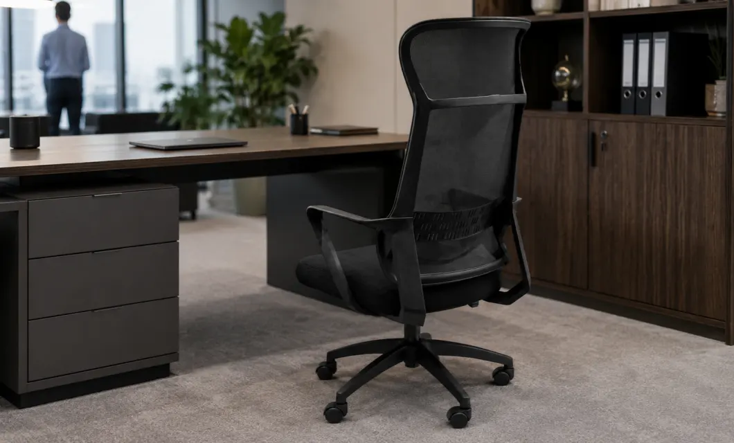 Clean back view near executive desks