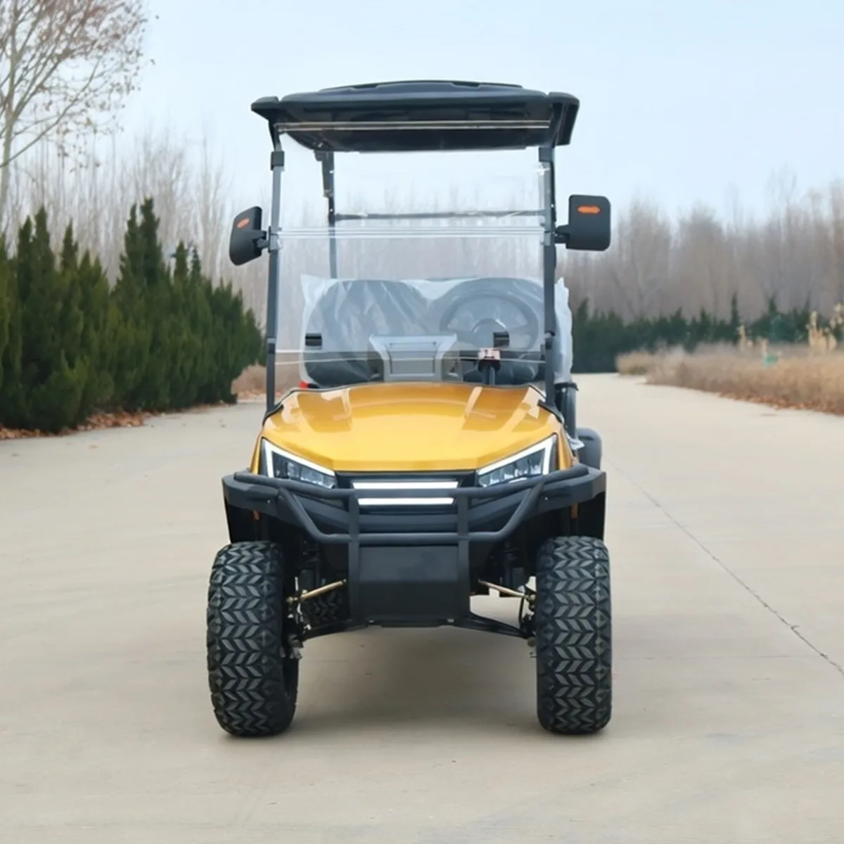 D4 yellow front_1767681899374