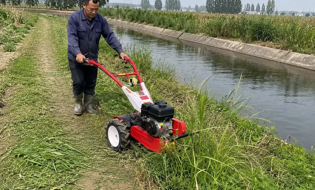 Margine sul campo di lavoro-Margine sul campo Preparazione del terreno