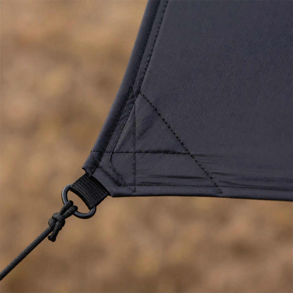Detalle_del_marco_frontal