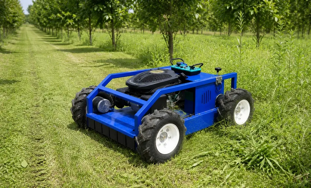 Grass cut between established orchard rows