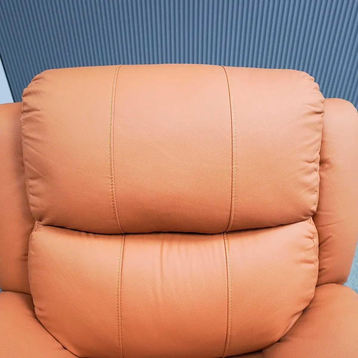 Backrest cushion