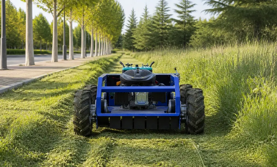 Managed lawns trimmed along landscape paths