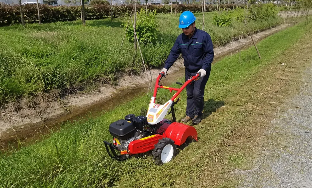 Fascia da lavoro con bordo frutteto