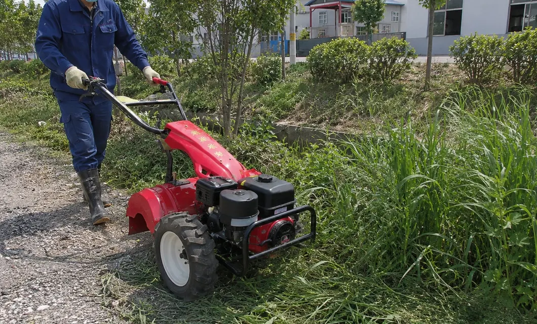 Park Green belt Work - Park Green belt Weed Clearing