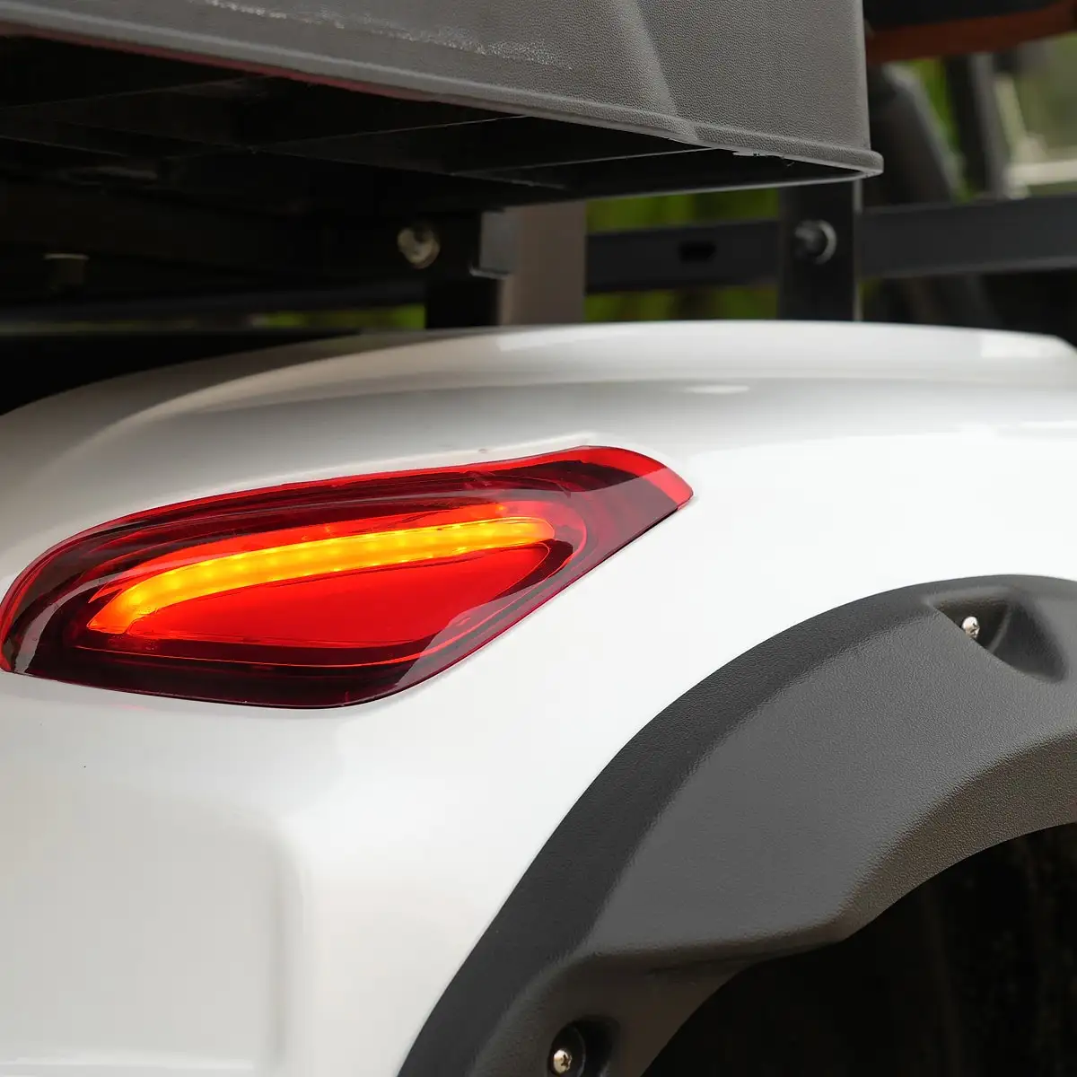 Rear Turn Lamp
