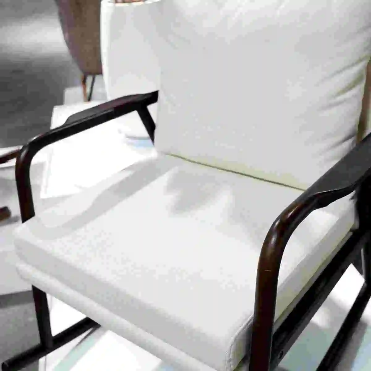 Side Frame And Seat Cushion