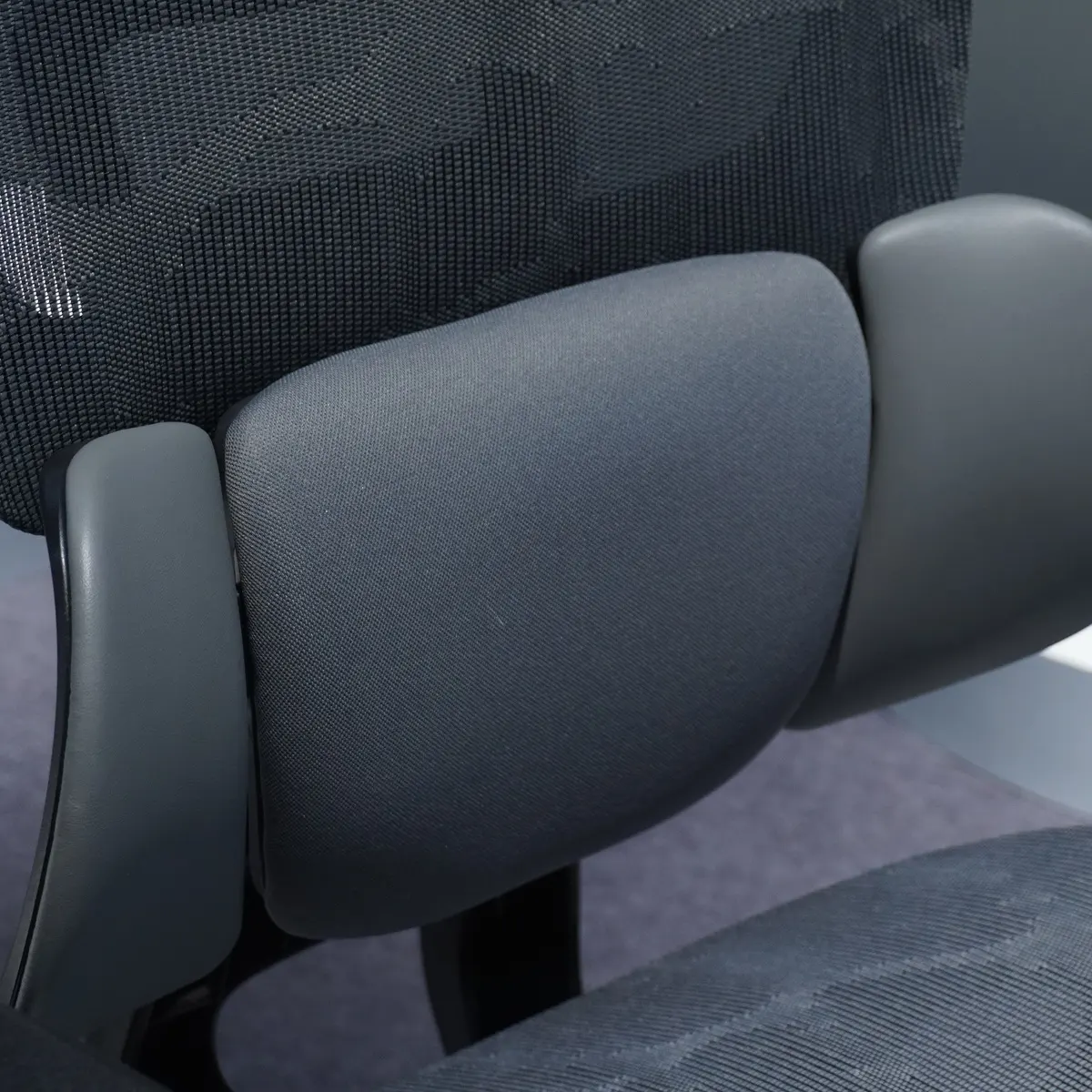 Split Lumbar Support Close Up