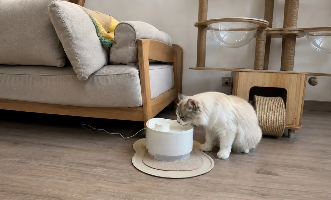 ห้องนั่งเล่น-พื้นที่สำหรับสัตว์เลี้ยง