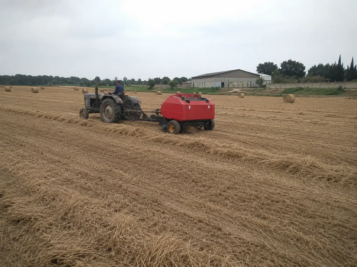 Imballaggio su larga scala nelle aziende agricole