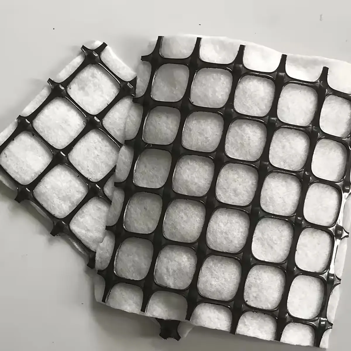 Geogriglia composita (30)
