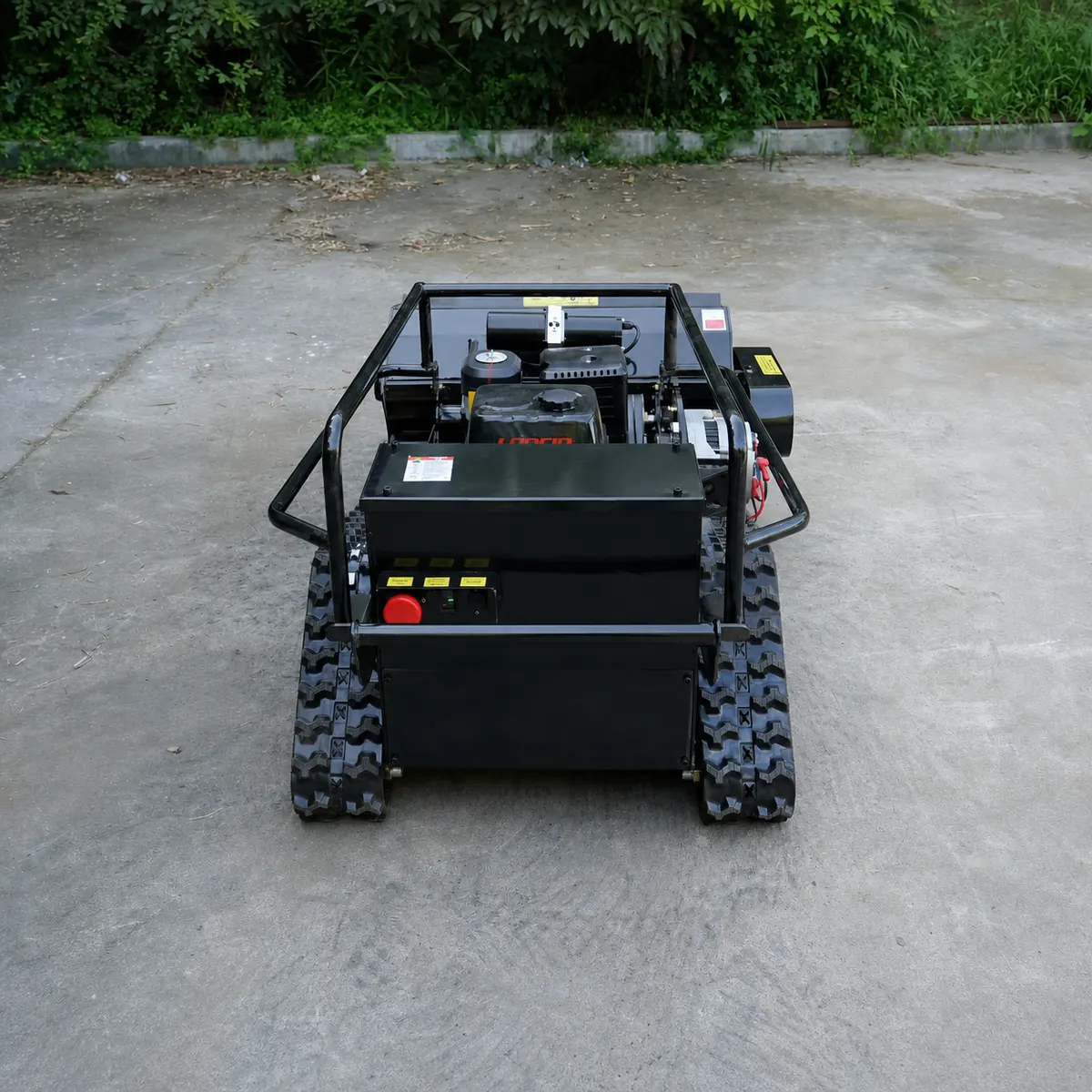 Multi-angle real-shot images – overhead view – back side