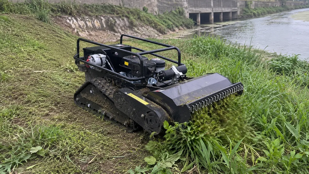 Waterway Slope - Steady Clearing Along Waterway Slopes