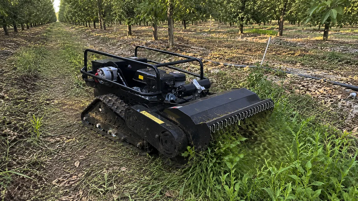 Orchard Row - Orderly Ground Care Through Orchard Rows