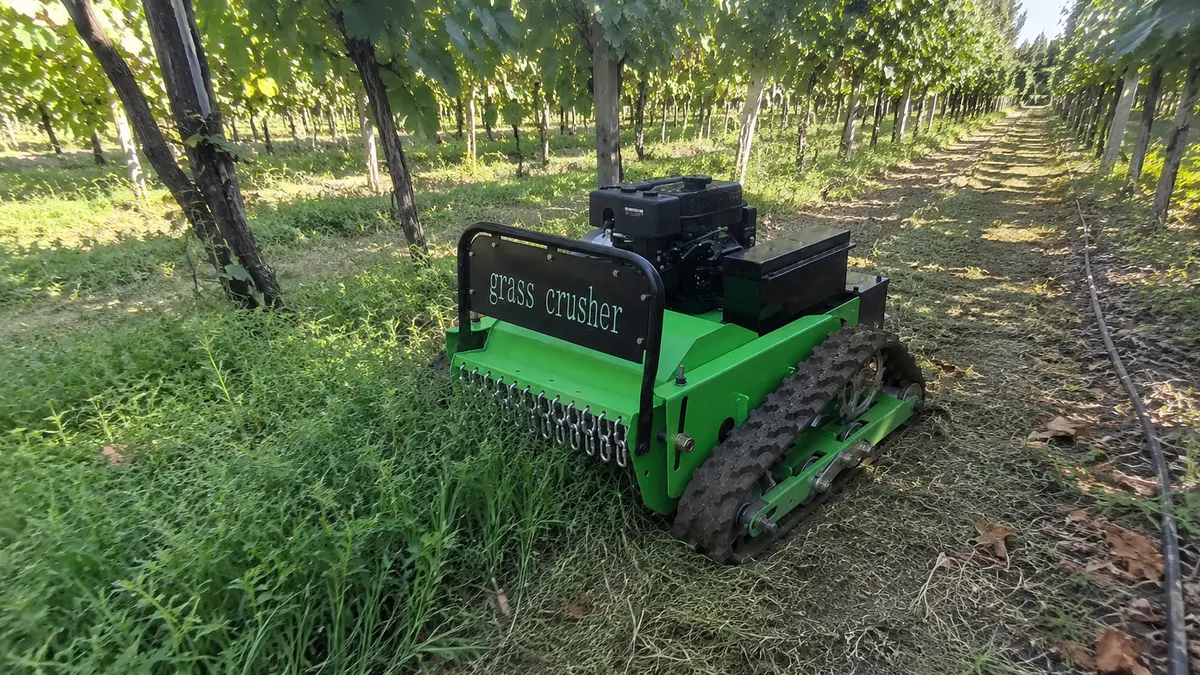 Vineyard Row - Consistent Ground Care Between Vines