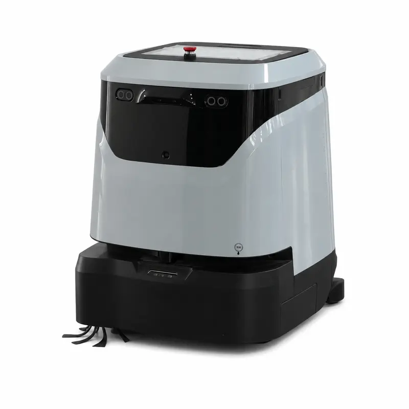 Intelligent Cleaning Robot