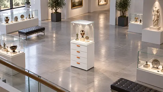 Display della collezione Showroom